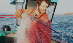 Poiscaille permet aux consommateurs de diversifier leur alimentation en poisson grâce à des produits moins chers. ( crédit photo : Poiscaille )