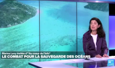 Marina Lévy: "On assiste à une désertification progressive des océans"