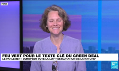 It's not easy being green: le Green Deal "ne répond pas au niveau d'urgence climatique & écologique"
