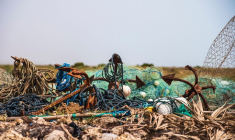 Une personne expropriée peut devoir payer la dépollution de son terrain (Crédits photo : Unsplash - Amin Safaripour )