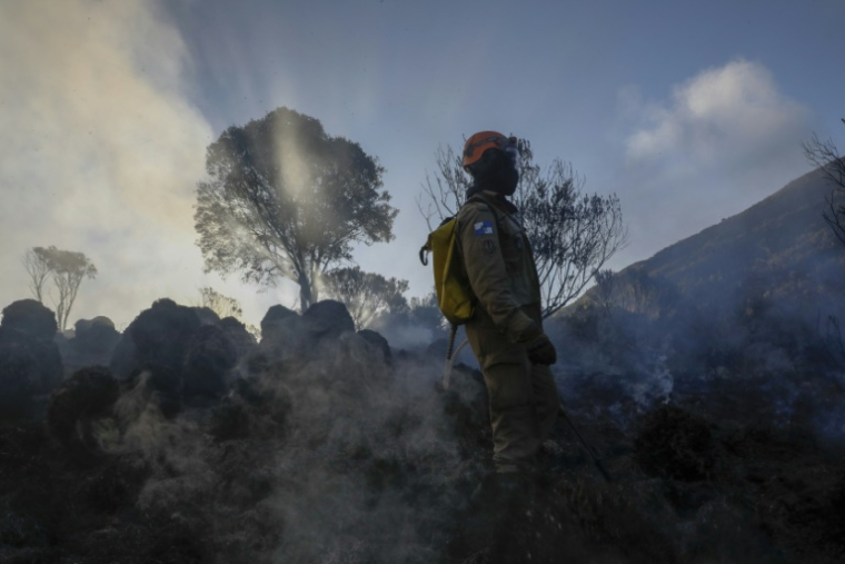 Un pompier à Itatiaia, au Brésil le 15 juin 2024 ( AFP / Ernesto CARRICO )
