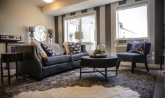 À Paris, les professionnels ont notamment enregistré une hausse des prix et des ventes de biens immobiliers de luxe. (illustration) (DokaRyan / Pixabay)