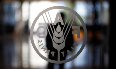 LES PRIX ALIMENTAIRES MONDIAUX À UN PLUS HAUT DE DIX ANS EN OCTOBRE, RAPPORTE LA FAO