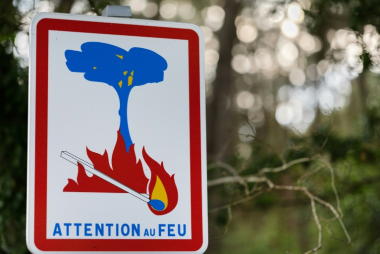 Dans les Bouches-du-Rhône, département le plus exposé au risque feu de forêt en France métropolitaine selon la préfecture, 14 massifs forestiers sur 26 ont été fermés, avec "interdiction stricte" d'y pénétrer ( AFP / Fred TANNEAU )