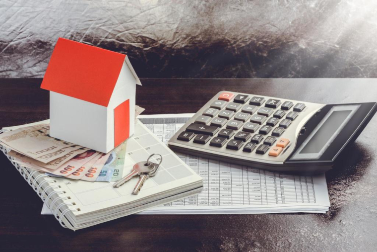 crédit photo : sirastock/Shutterstock / sirastock