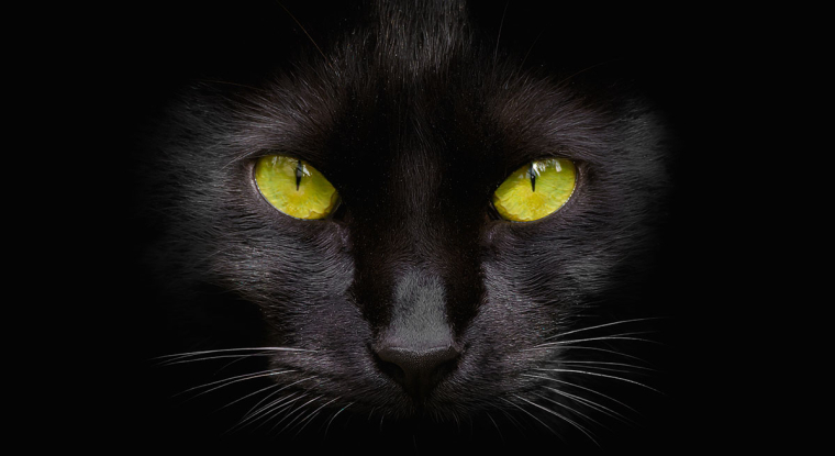 Les superstitions en Bourse sont nombreuses et surprenantes. (© Shutterstock)