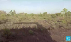 Enlèvement d'Olivier Dubois au Mali : deux mois de captivité pour le journaliste français