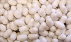 LA START-UP EVOLVED BY NATURE TROUVE DE NOUVEAUX INVESTISSEURS