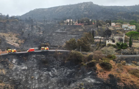 Dégâts causés par les incendies de forêt dans le sud de la France