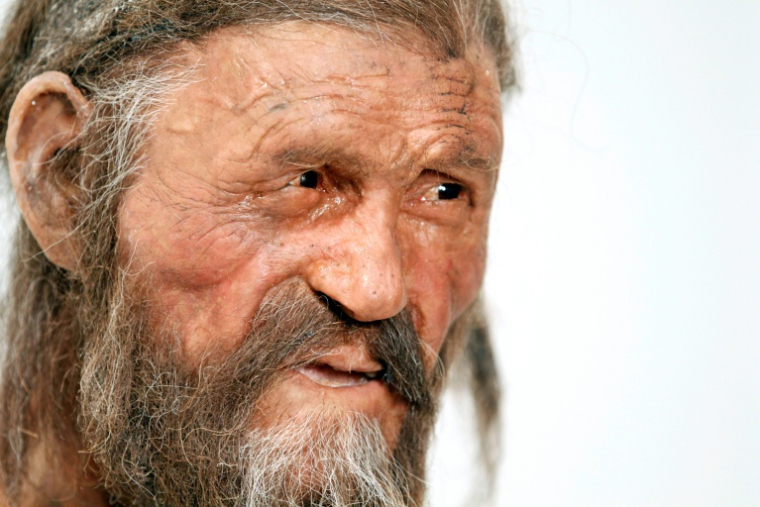 Une statue représentant Ötzi, exposée au Musée archéologique de Bolzano le 28 février 2011  ( AFP / Andrea Solero )