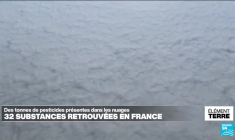 Des tonnes de pesticides présentes dans les nuages: une pollution sans frontière