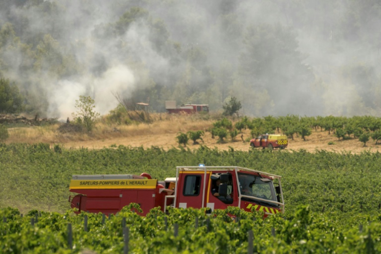 Des véhicules de pompiers près d'une zone forestière en feu à Saint-Laurent-de-la-Cabrerisse, dans l'Aude, le 7 août 2025 ( AFP / Idriss Bigou-Gilles )