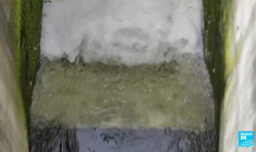 Nettoyer la Seine : la course avant les Jeux Olympiques