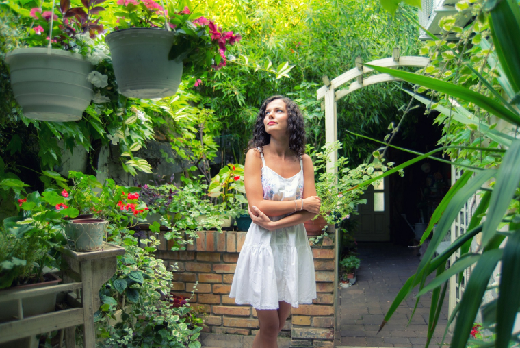 La culture en terrasses peut enfin impacter la biodiversité. (crédit : Adobe Stock)