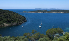 L'entrée du port de l'île de Port-Cros, et en face l'île Bagaud à Hyères, le 8 mai 2025 dans le Var ( AFP / Miguel MEDINA )