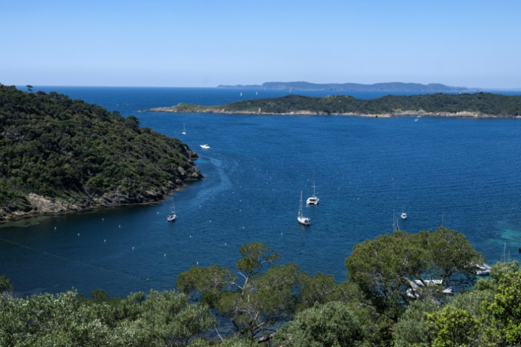 L'entrée du port de l'île de Port-Cros, et en face l'île Bagaud à Hyères, le 8 mai 2025 dans le Var ( AFP / Miguel MEDINA )