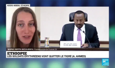 Ethiopie : "la situation humanitaire est très précaire dans la région du Tigré"