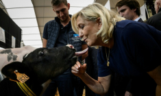Marine Le Pen, candidate du RN à la présidentielle, câline un veau lors de sa visite au Sommet de l'élevage à Cournon-d'Auvergne, le 7 octobre 2026 dans le Puy-de-Dôme ( AFP / JEFF PACHOUD )