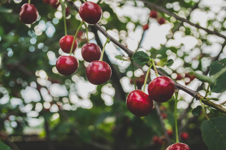 (Crédits photo : Unsplash - Macu ic )