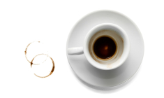 Les vertus insoupçonnées du marc de café (Crédits photo : Shutterstock)