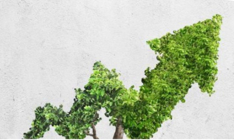 (Crédits photo : Site web d'Eurazeo -  )