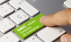 (Crédit photo: © Momius - stock.adobe.com)