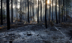 FRANCE: LA PLUIE APPORTE UN LÉGER RÉPIT SUR LE FRONT DES INCENDIES