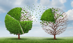 Depuis le 1er octobre 2019, les titulaires d'un PERP peuvent transférer leur épargne vers un PER (plan épargne retraite) (Crédit photo: 123RF)