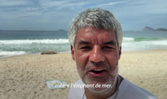 Brésil: un éléphant de mer s'invite sur la plage de Copacabana