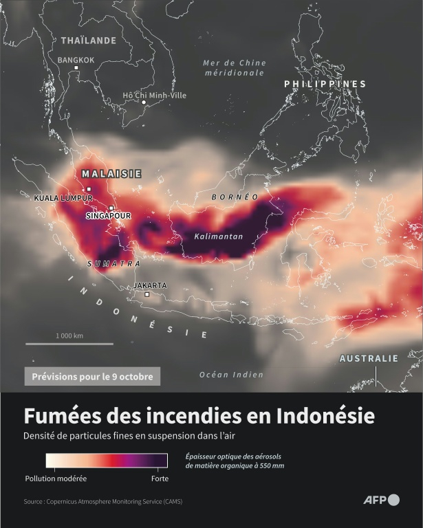 Carte des prévisions de pollution de l'air en Asie du sud-est causée les incendies en Indonésie, d'après les données de surveillance de l'atmosphère du programme européen Copernicus  ( AFP / Nicholas SHEARMAN )
