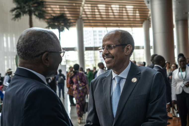 Le président de la Commission de l'Union africaine, le Djiboutien Mahamoud Ali Youssouf, lors d'un sommet de l'organisation à Addis Abeba le 15 février 2025 ( AFP / Marco Simoncelli )