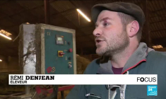 Faune sauvage en France : des primes contre les braconniers pour briser l'omerta