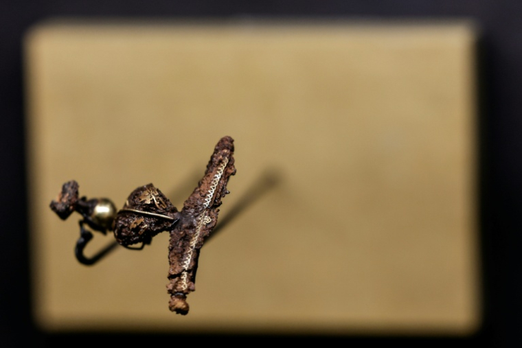 Un des objets retrouvés dans la tombe d'un prince celte à Lavau et présentés au musée d'art moderne de Troyes, le 22 janvier 2026 ( AFP / STEPHANE DE SAKUTIN )