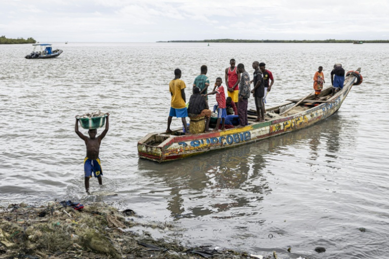Des pêcheurs à Touguiyire, dans la préfecture de Forécariah, le 4 septembre 2025 en Guinée ( AFP / PATRICK MEINHARDT )