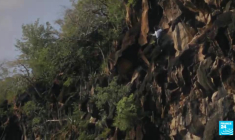 "À L’Affiche Planète Afro" : la Guinée, la Guyane et la Guadeloupe à l’honneur