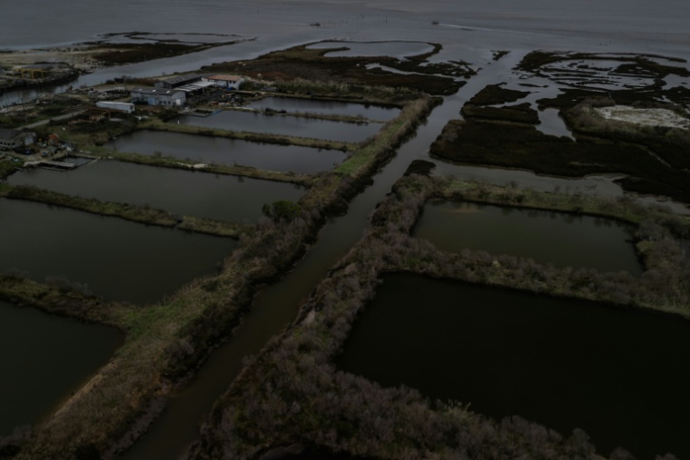 Des parcelles ostréicoles à Gujan-Mestras, dans le bassin d'Arcachon, le 5 février 2026 en Gironde ( AFP / Philippe LOPEZ )