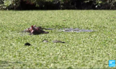 Ces Français qui ont tout quitté pour vivre au bout du monde