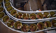 4 des 8 sites de production sont concernés (illustration) ( AFP / LIONEL BONAVENTURE )