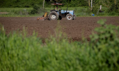 LA SÉCHERESSE MENACE LES CULTURES AGRICOLES DU NORD DE L'ITALIE