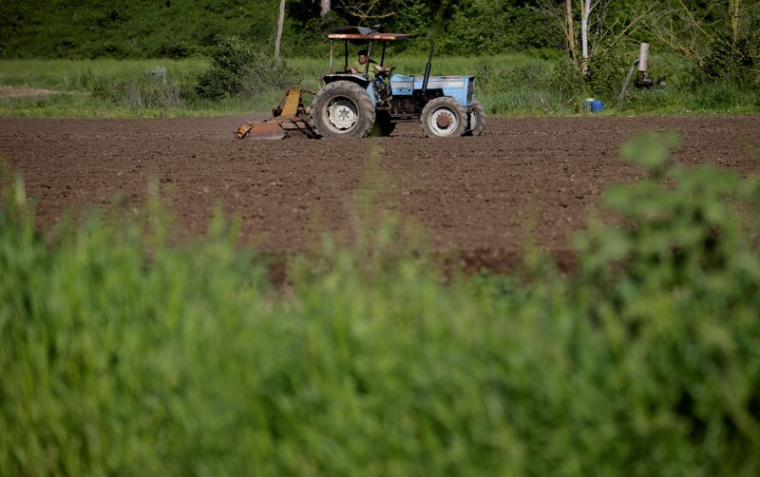 LA SÉCHERESSE MENACE LES CULTURES AGRICOLES DU NORD DE L'ITALIE