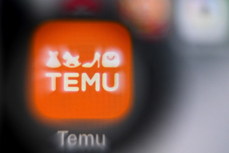 La taxe vise notamment les plateformes d'e-commerce comme Temu et Shein (illustration) ( AFP / KIRILL KUDRYAVTSEV )