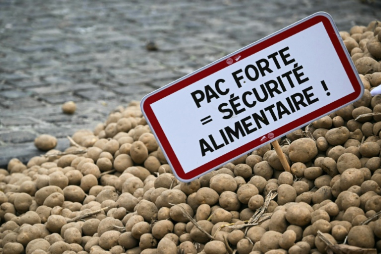 Des pommes de terre répandues dans les rues de Bruxelles par des agriculteurs européens mécontents, le 18 décembre 2025 ( AFP / NICOLAS TUCAT )
