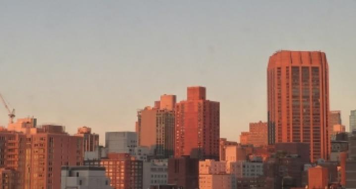 Les SCPI diversifiées en tête des rendements 2024