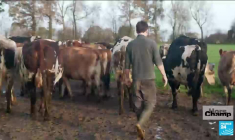 D'urbains à fermiers en Normandie