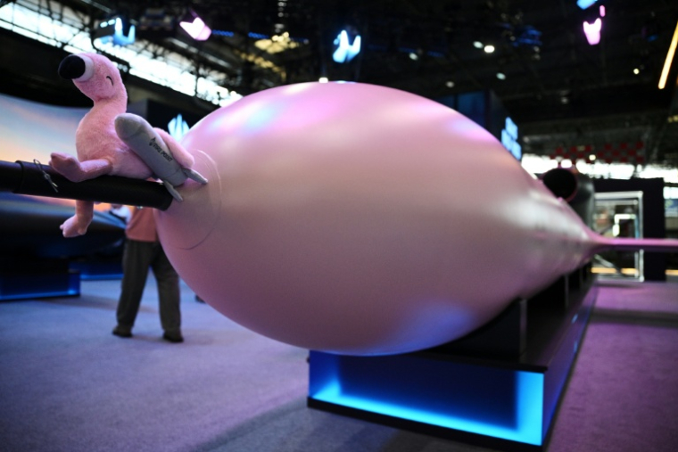 Le missile de croisière Flamingo (Flamant) de l'ukrainien Fire Point à Eurosatory à Villepinte, au nord de Paris, le 16 juin 2026 ( AFP / JULIEN DE ROSA )