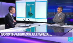 Sécurité alimentaire et stabilité : le blé au cœur des enjeux géostratégiques mondiaux