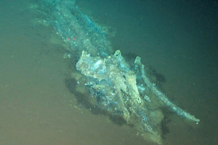 Photo prise par "Global TREnD, IDSSE" et diffusée le 10 juin 2026 montrant un os de baleine dans le plus grand cimetière de baleines connu au monde, découvert par le submersible chinois Fendouzhe, à sept kilomètres de profondeur dans l'océan Indien  ( Global TREnD, IDSSE / Handout )