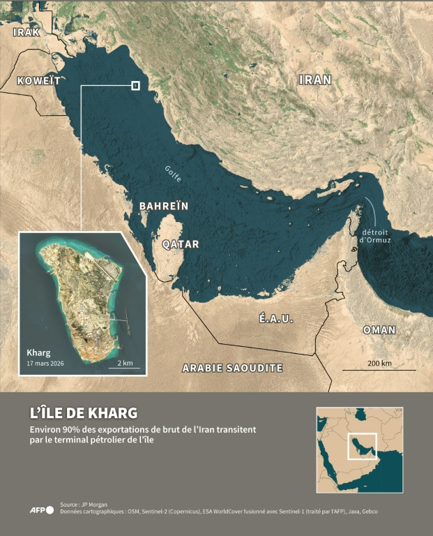 Image satellite du détroit d'Ormuz dans le Golfe et de l'île de Kharg, un point essentiel pour les exportations de pétrole brut de l'Iran ( AFP / Omar KAMAL )