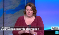 Loi Duplomb II, les pesticides indispensables à la sécurité alimentaire des Français?