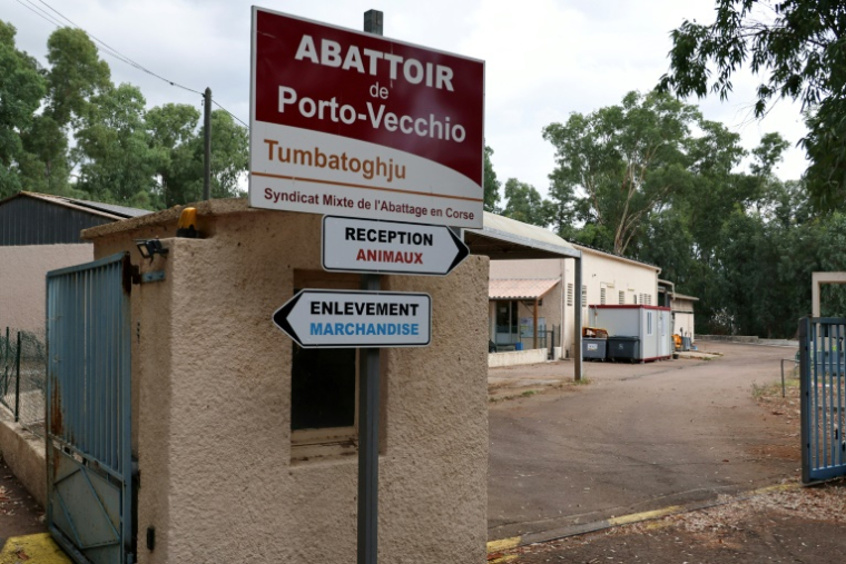 L'abattoir public multi-espèces de Porto-Vecchio en Corse, le 30 juillet 2025 ( AFP / STRINGER )